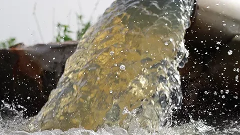 Eau agricole : la Banque mondiale voit 245 millions d'emplois à la clé 