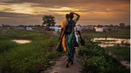 « Lutter pour l'humanité » : le seuil de 1,5 °C sera franchi, mais pour combien de temps ? 