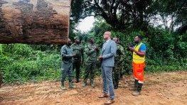 Forêt : le ministre Maurice Ntossui Allogo intensifie les contrôles sur le terrain 